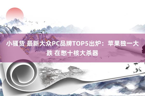 小骚货 最新大众PC品牌TOP5出炉：苹果独一大跌 在憋十核大杀器