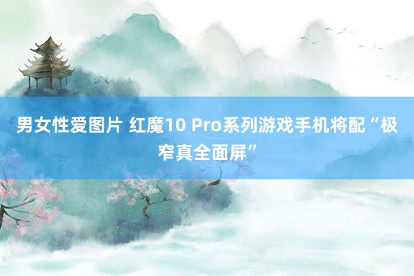 男女性爱图片 红魔10 Pro系列游戏手机将配“极窄真全面屏”