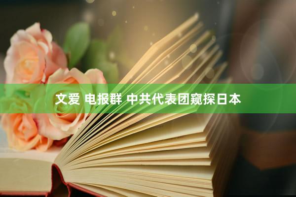 文爱 电报群 中共代表团窥探日本