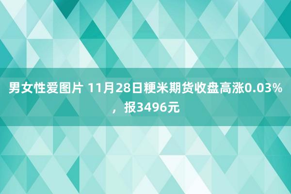 男女性爱图片 11月28日粳米期货收盘高涨0.03%，报3496元