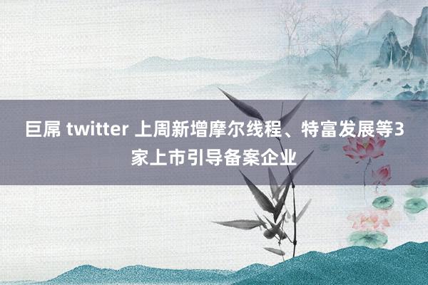 巨屌 twitter 上周新增摩尔线程、特富发展等3家上市引导备案企业