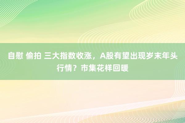 自慰 偷拍 三大指数收涨，A股有望出现岁末年头行情？市集花样回暖