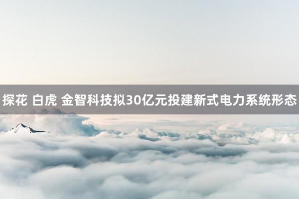探花 白虎 金智科技拟30亿元投建新式电力系统形态