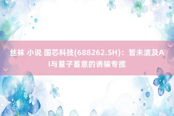 丝袜 小说 国芯科技(688262.SH)：暂未波及AI与量子蓄意的诱骗专揽