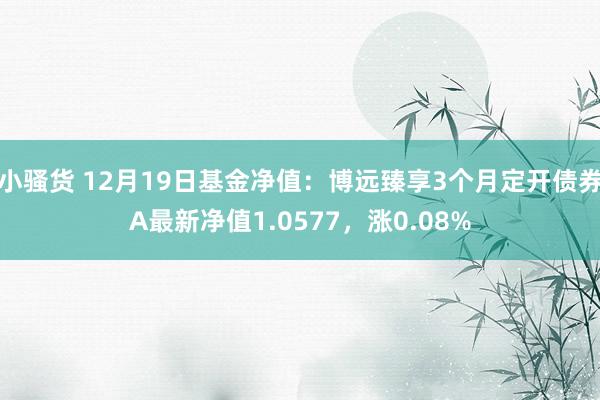 小骚货 12月19日基金净值：博远臻享3个月定开债券A最新净值1.0577，涨0.08%