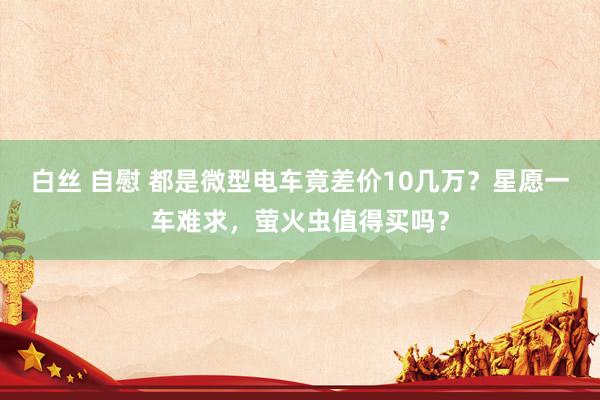 白丝 自慰 都是微型电车竟差价10几万？星愿一车难求，萤火虫值得买吗？