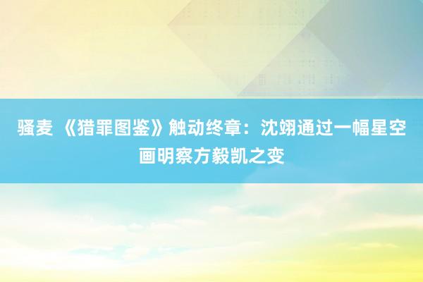 骚麦 《猎罪图鉴》触动终章：沈翊通过一幅星空画明察方毅凯之变