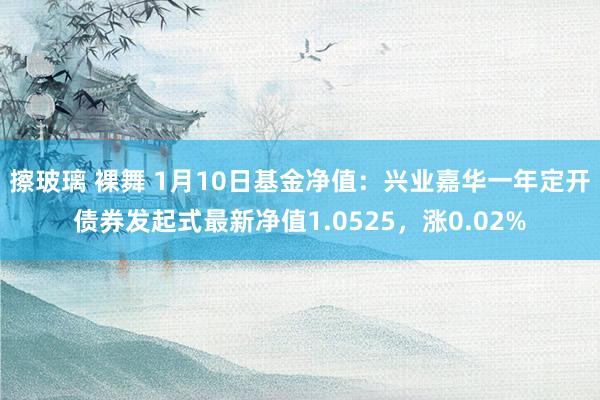 擦玻璃 裸舞 1月10日基金净值：兴业嘉华一年定开债券发起式最新净值1.0525，涨0.02%