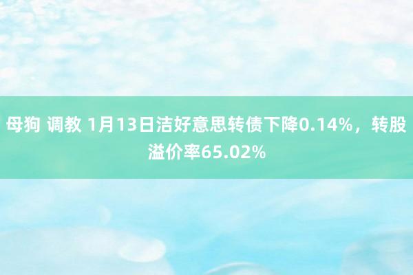 母狗 调教 1月13日洁好意思转债下降0.14%，转股溢价率65.02%