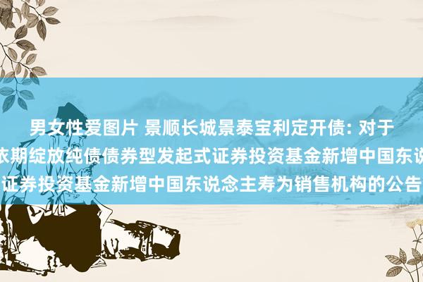 男女性爱图片 景顺长城景泰宝利定开债: 对于景顺长城景泰宝利一年依期绽放纯债债券型发起式证券投资基金新增中国东说念主寿为销售机构的公告