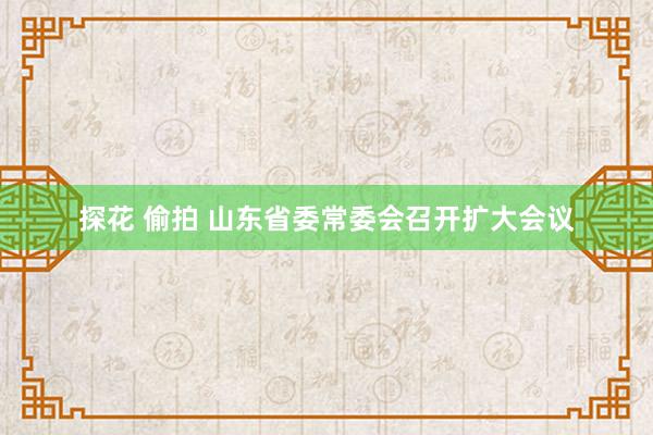 探花 偷拍 山东省委常委会召开扩大会议