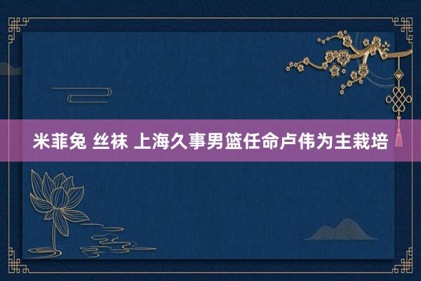米菲兔 丝袜 上海久事男篮任命卢伟为主栽培