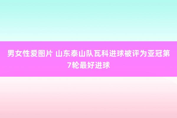男女性爱图片 山东泰山队瓦科进球被评为亚冠第7轮最好进球