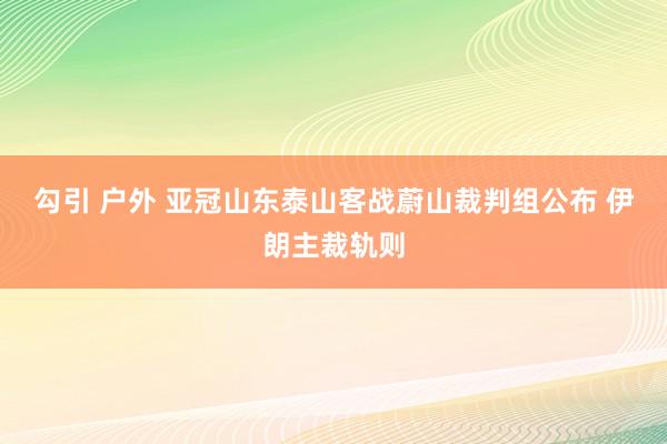 勾引 户外 亚冠山东泰山客战蔚山裁判组公布 伊朗主裁轨则