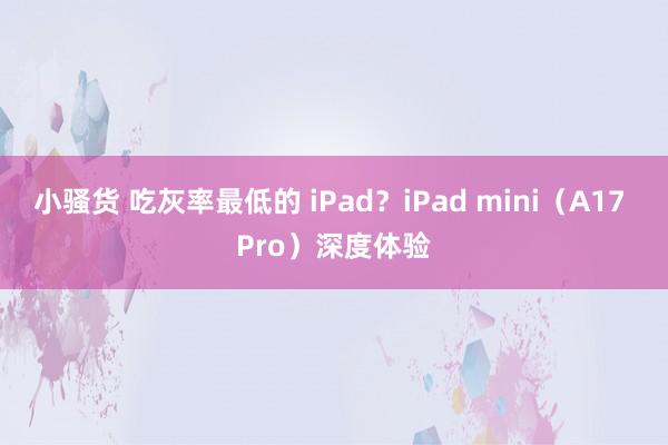 小骚货 吃灰率最低的 iPad？iPad mini（A17 Pro）深度体验