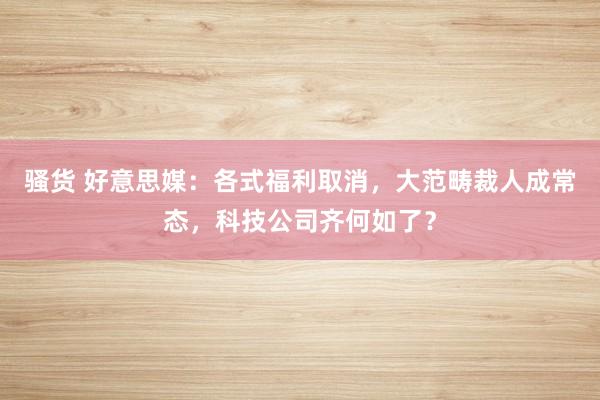 骚货 好意思媒：各式福利取消，大范畴裁人成常态，科技公司齐何如了？