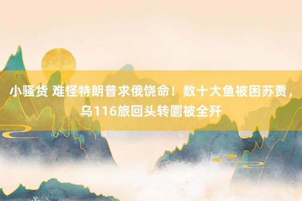 小骚货 难怪特朗普求俄饶命！数十大鱼被困苏贾，乌116旅回头转圜被全歼