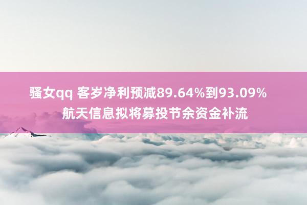 骚女qq 客岁净利预减89.64%到93.09%    航天信息拟将募投节余资金补流