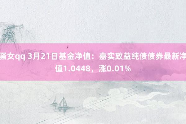 骚女qq 3月21日基金净值：嘉实致益纯债债券最新净值1.0448，涨0.01%