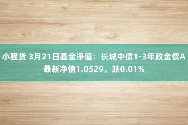 小骚货 3月21日基金净值：长城中债1-3年政金债A最新净值1.0529，跌0.01%