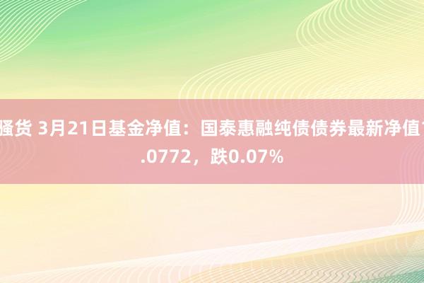 骚货 3月21日基金净值：国泰惠融纯债债券最新净值1.0772，跌0.07%