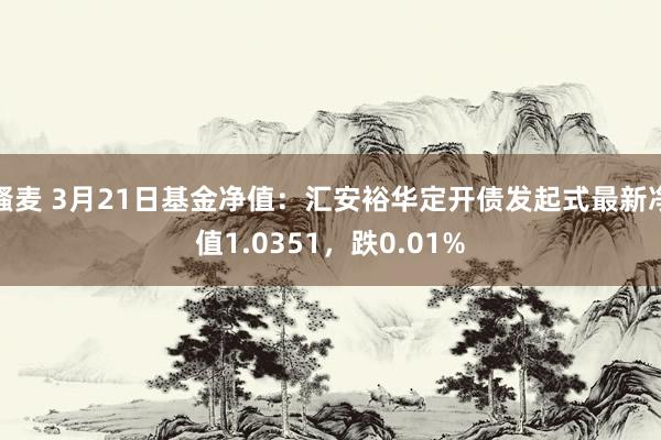 骚麦 3月21日基金净值：汇安裕华定开债发起式最新净值1.0351，跌0.01%
