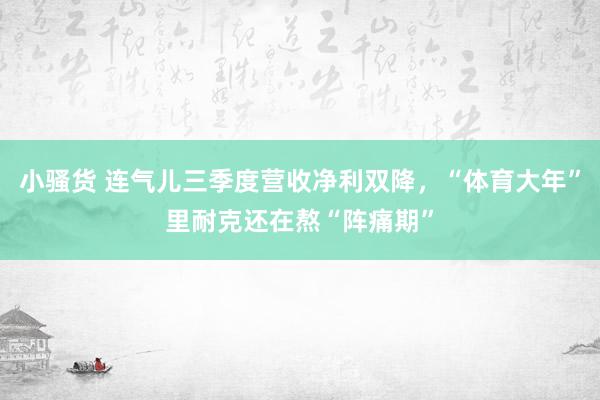 小骚货 连气儿三季度营收净利双降，“体育大年”里耐克还在熬“阵痛期”