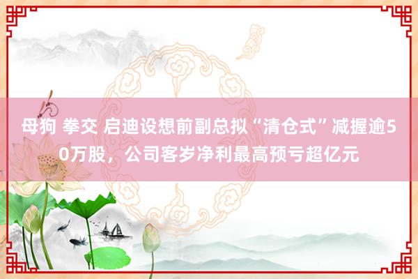 母狗 拳交 启迪设想前副总拟“清仓式”减握逾50万股，公司客岁净利最高预亏超亿元