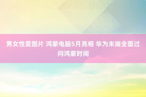 男女性爱图片 鸿蒙电脑5月亮相 华为末端全面过问鸿蒙时间