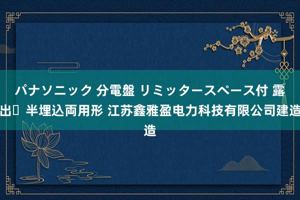 パナソニック 分電盤 リミッタースペース付 露出・半埋込両用形 江苏鑫雅盈电力科技有限公司建造