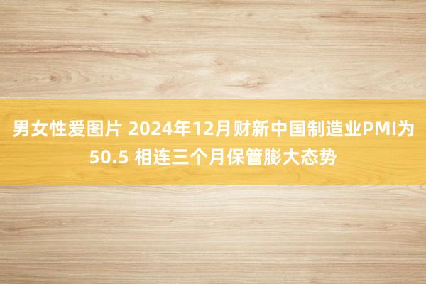 男女性爱图片 2024年12月财新中国制造业PMI为50.5 相连三个月保管膨大态势