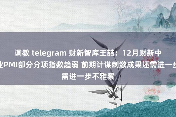 调教 telegram 财新智库王喆：12月财新中国制造业PMI部分分项指数趋弱 前期计谋刺激成果还需进一步不雅察