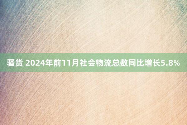 骚货 2024年前11月社会物流总数同比增长5.8%