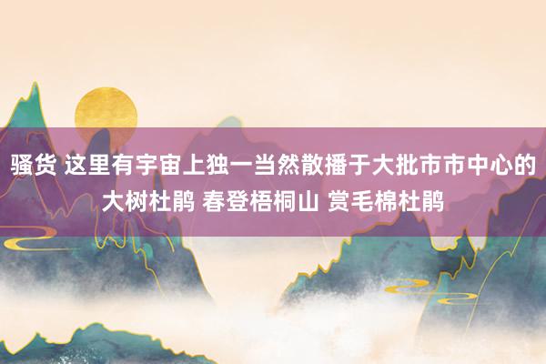 骚货 这里有宇宙上独一当然散播于大批市市中心的大树杜鹃 春登梧桐山 赏毛棉杜鹃