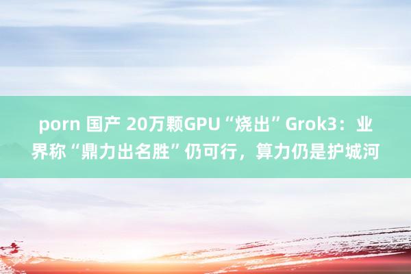 porn 国产 20万颗GPU“烧出”Grok3：业界称“鼎力出名胜”仍可行，算力仍是护城河