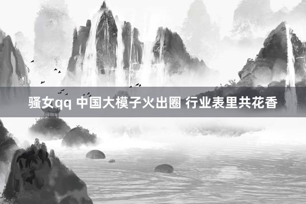 骚女qq 中国大模子火出圈 行业表里共花香