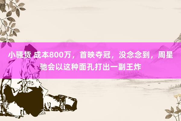 小骚货 成本800万，首映夺冠，没念念到，周星驰会以这种面孔打出一副王炸