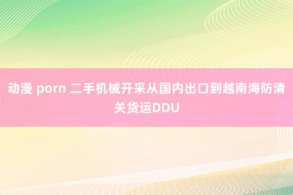动漫 porn 二手机械开采从国内出口到越南海防清关货运DDU