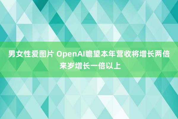 男女性爱图片 OpenAI瞻望本年营收将增长两倍 来岁增长一倍以上