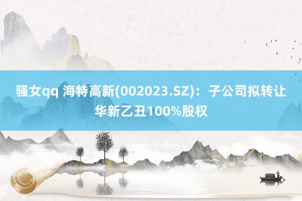 骚女qq 海特高新(002023.SZ)：子公司拟转让华新乙丑100%股权
