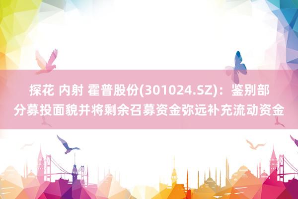 探花 内射 霍普股份(301024.SZ)：鉴别部分募投面貌并将剩余召募资金弥远补充流动资金