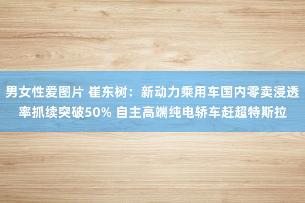 男女性爱图片 崔东树：新动力乘用车国内零卖浸透率抓续突破50% 自主高端纯电轿车赶超特斯拉