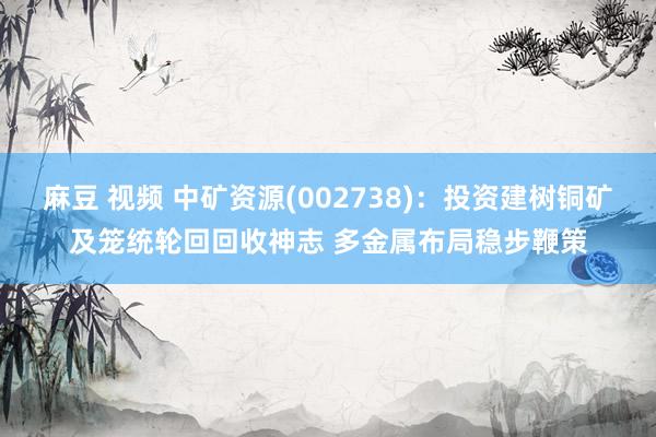 麻豆 视频 中矿资源(002738)：投资建树铜矿及笼统轮回回收神志 多金属布局稳步鞭策