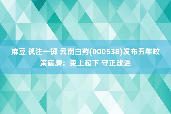 麻豆 孤注一掷 云南白药(000538)发布五年政策磋磨：束上起下 守正改进