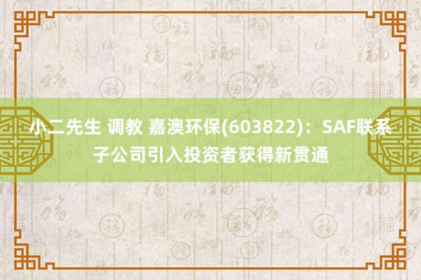 小二先生 调教 嘉澳环保(603822)：SAF联系子公司引入投资者获得新贯通