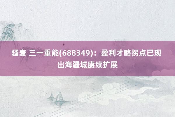 骚麦 三一重能(688349)：盈利才略拐点已现 出海疆城赓续扩展