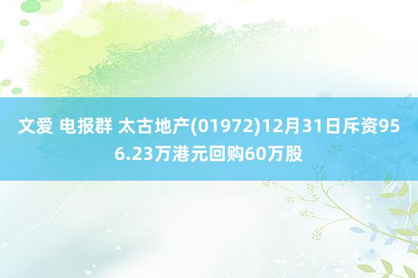文爱 电报群 太古地产(01972)12月31日斥资956.23万港元回购60万股