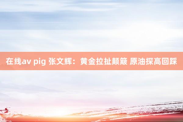 在线av pig 张文辉：黄金拉扯颠簸 原油探高回踩