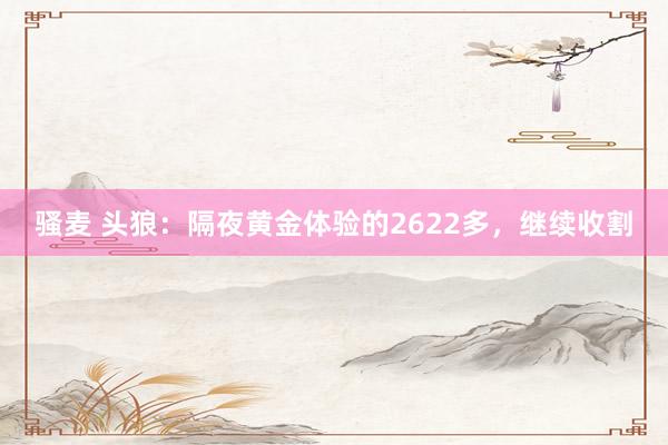 骚麦 头狼：隔夜黄金体验的2622多，继续收割