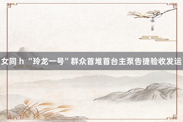 女同 h “玲龙一号”群众首堆首台主泵告捷验收发运